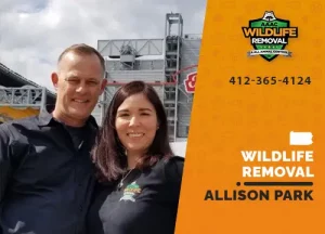 Allison Park Wildlife Removal professional removing pest animal
