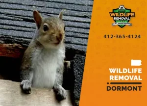 Dormont Wildlife Removal professional removing pest animal